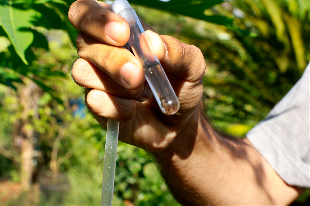 Saúde - Saúde confirma 8 casos de dengue 2 casos suspeitos de Chikungunya