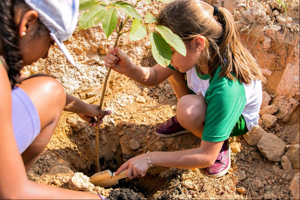 Educação - Semana da Árvore: alunos participam de plantio de mudas 